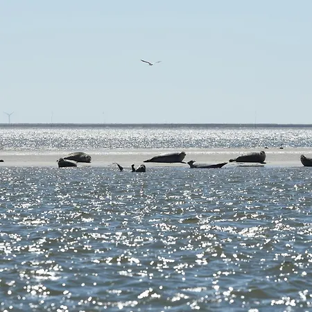 Haus Sommerfrische בית נופש Wyk auf Föhr